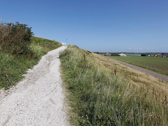 Door Hollandse duinen | Visit Kop van Holland