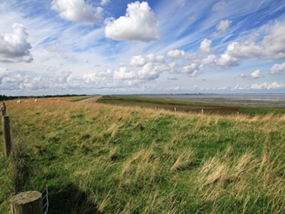 Wandelroute Schoonheid van Wieringen | Visit Kop van Holland