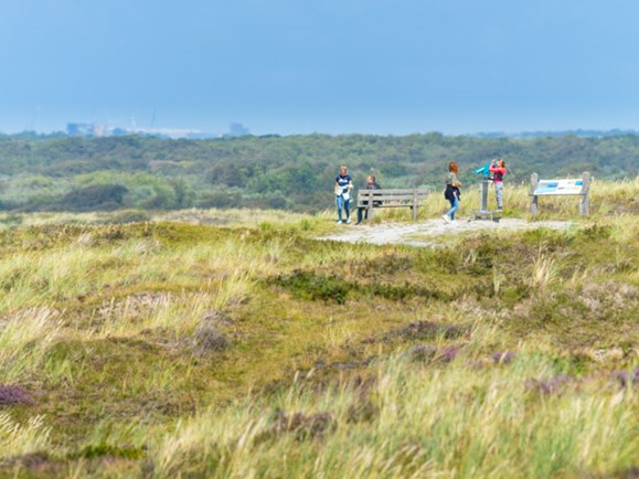 Wandelroutes | Visit Kop van Holland