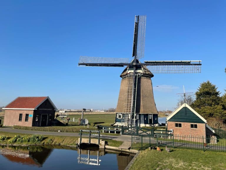 westermolen nieuwe niedorp