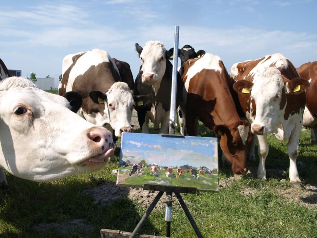 koeien schilderen westfriesland